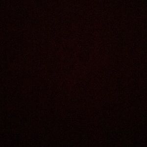 Meet your Posher, Silvia